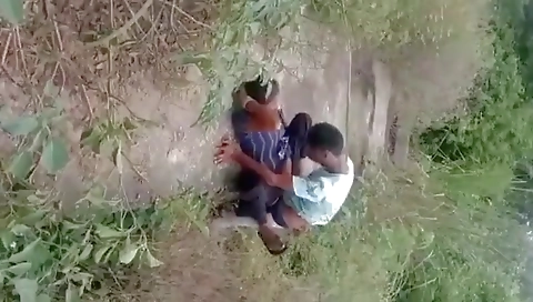 New Sex Step, Try My Wife