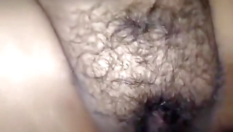 Hairy Pussy Fuck