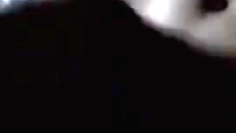 Bangladeshi City Girl Live Tease Show On A Video Call
