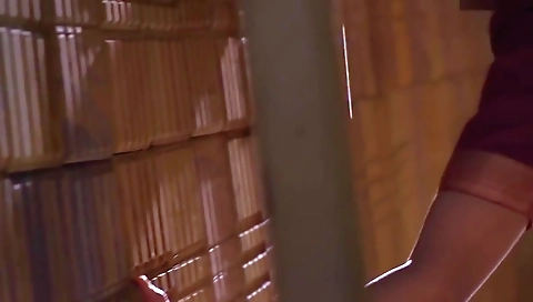 Desi Bhabhi - Desi Sex