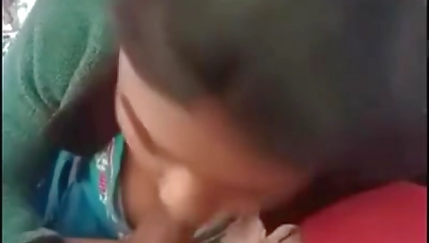 Indian Truck Driver Sex Video
