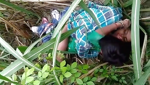 Dehati Lovers Having Sex In A Grass Field