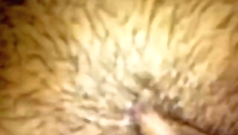 Hot Sexy Chut Chudai Hindi Mms Video