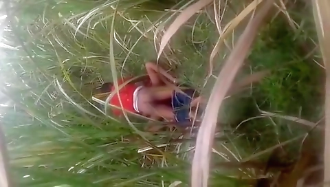 Bihari Outdoor Sex Mms Video Captured By A