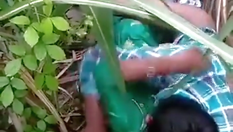 Ganne Ke Khet Me Romance Mms