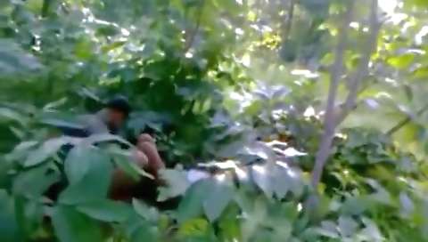 Indian College Girl Fuck A Forest And Jangol - Indian Model